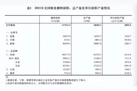 全球面临50年来最严重的“粮食危机”，谁来养活中国？图片