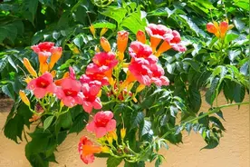 人的命，天注定，明智的人一切听从老天安排图片