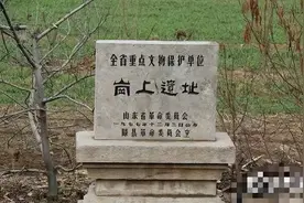善国故里 璀璨文明——山东滕州岗上遗址：大汶口时期最大史前城址图片