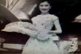 民国电影界明星胡蝶是如何被军统特务头子戴笠霸占的？图片