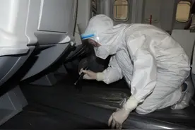 47只德国小蠊被厦门海关截获，身上携带多种致病菌，有何危害？图片