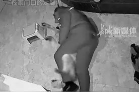 男子喝断片回家 误把狗狗当媳妇 直接抱着睡 丈夫：比媳妇抱着还舒服图片