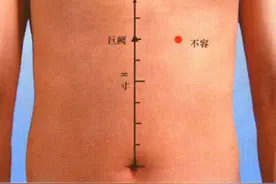 足阳明胃经经穴——不容穴图片