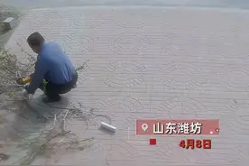 父亲用角磨机切割树枝操作不当脚被咬缝8针，2天后儿子看监控泪崩图片
