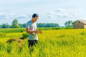 43岁留守男子自述：妻子常年在广东打工，一年才回来一次图片