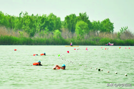 合肥“试水”公开水域游泳赛图片