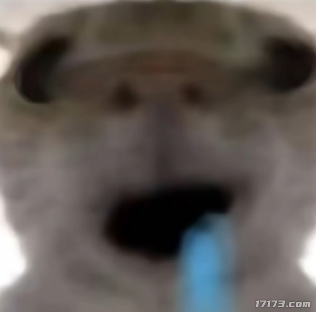 太癫了！千万玩家集体「指猫为鼠」，还成了腾讯王牌游戏的新宠儿