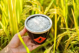 天气预报：今年收成好不好？就看五月十八天气，看看老祖宗怎么说图片