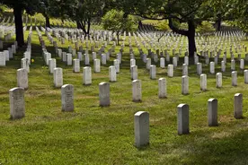 可怕！上海小区改造后的路灯惊现“墓碑”，居民心生恐惧！图片