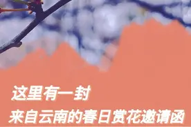 租车游火爆！业内人士提醒图片