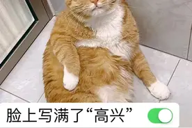 室友无论什么天气都开空调，我不想平摊电费，他们就在背后议论我，其他人因此不愿跟我换宿舍，我该怎么办？图片