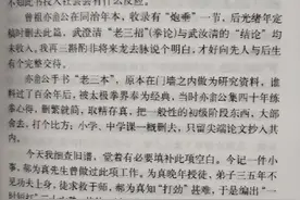 武式太极拳二路炮锤！惊不惊喜，意不意外图片