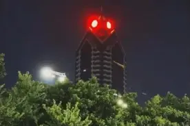 笑不活了！广东的蟑螂很大，你忍一下！图片