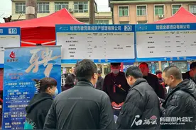 哈密：跨省区招工忙 外来务工者稳定就业可享住房、培训等补贴图片