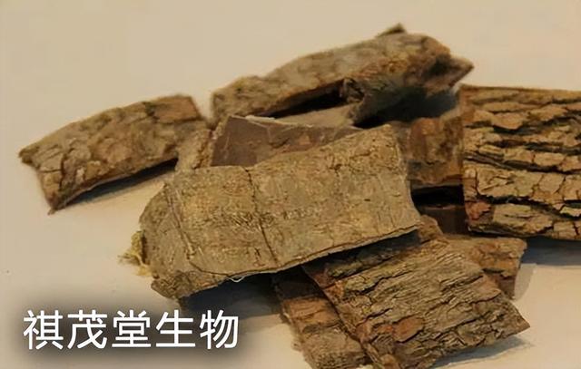 杜仲叶提取物杜仲素在水产养殖中的功能，杜仲提取物水产养殖好处