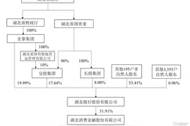 湖北银行冲刺沪主板，业绩波动大，贷款客户集中度较高图片