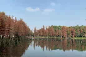 一个医学生的心声（随笔2）图片