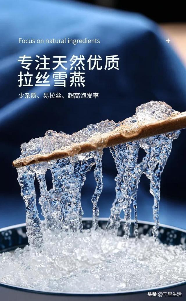 雪燕可以炖花胶吗 2026年雪燕胶和什么一起炖最好