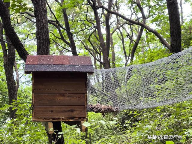 这大概是保定景区里最具挑战的一座大山了吧，1300级天梯太带劲了