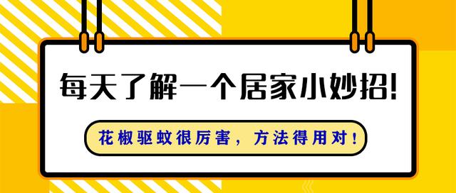 花胶驱蚊 2026年花胶去风最简单三个步骤 花胶驱蚊 2026年花胶去风最简单三个步骤
