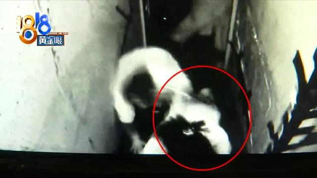 逃离现代酒吧攻略（玩最恐怖沉浸式密室逃脱）