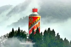 茅台上市21年：铸就A股价值投资的“信仰中枢”图片