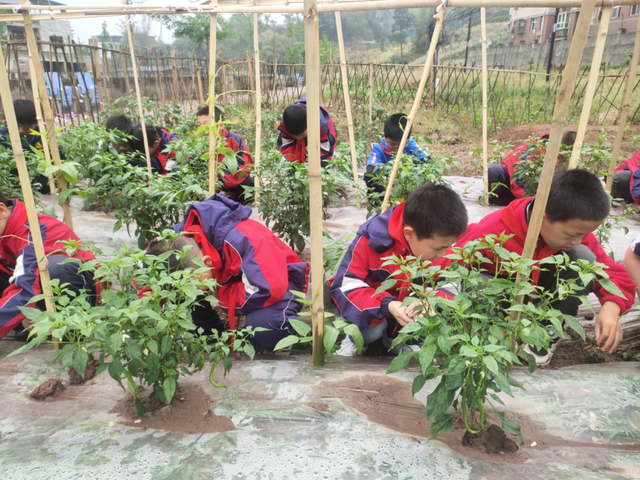 四川省民生研究会新媒体中心-官网