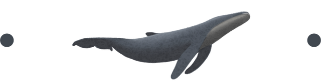 38 年跨国寻恩记｜人间