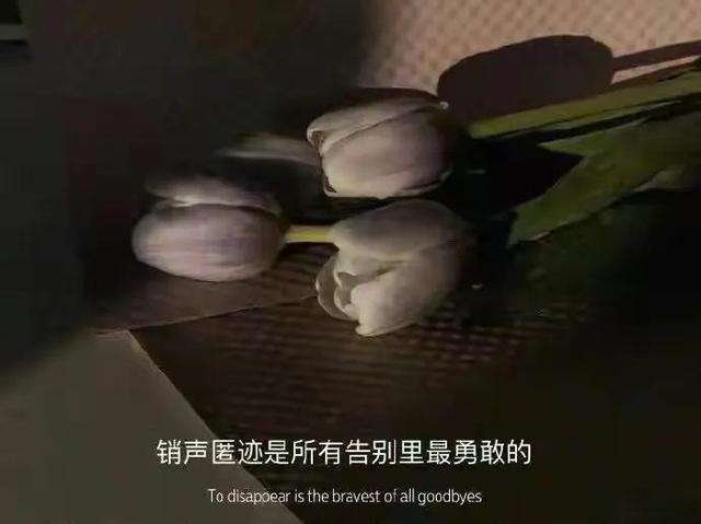 朋友圈情感文案图｜我爱的人在全力以赴的爱别人