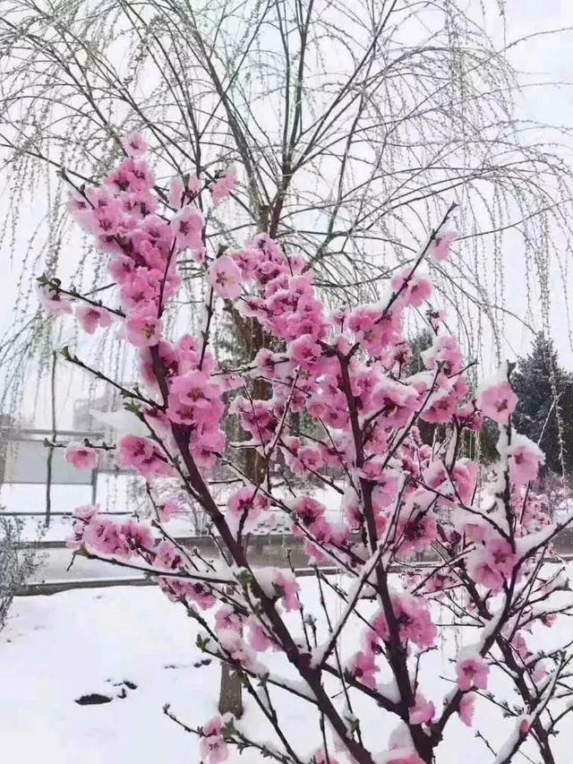 6���ʺ�С����ҵ������