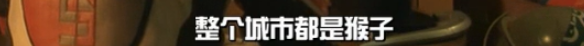 顶级IP，今日上映，他就是我们永恒的光