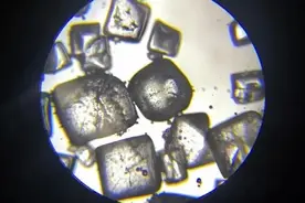 如果进入一粒食盐的内部，你会看到……图片