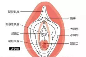 关于处女膜修补的一些问题图片