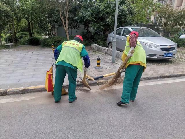 东湖新技术开发区豹澥街分类专班黄金堂社区开展清洁家园活动