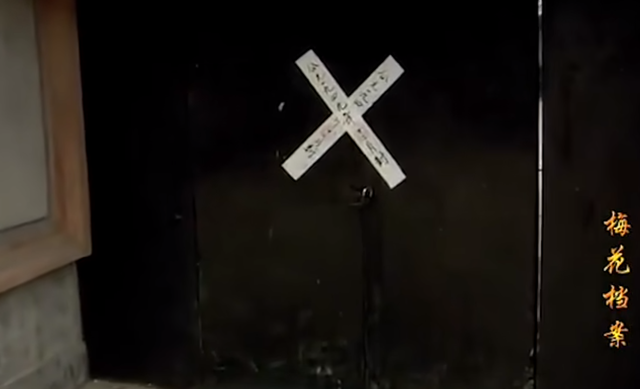 童年阴影系列之《梅花档案》