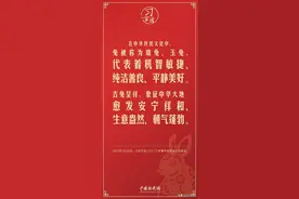 兔代表着机智敏捷、纯洁善良、平静美好图片