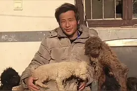 痛心！郁雷鸣去世，年仅46岁，为救流浪狗倾家荡产，遗言令人泪目图片