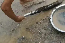 海滩边上“撸铁棒”，每天纯赚上百元，遭严令禁止却又死灰复燃图片