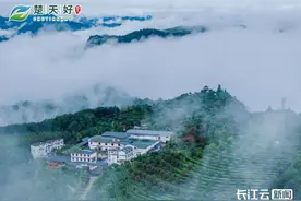 恩施玉露：一盏湖北深山蒸青茶，征服全球味蕾图片