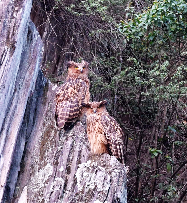 四川省民生研究会新媒体中心-官网