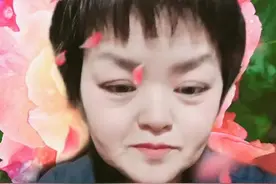 回应东北人的现状图片