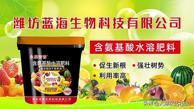 果树腐烂 轮纹 粗皮防治大有讲究！促生新根，壮树势这样做错不了