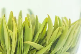 西南绿茶前来拜访？重庆永川秀芽与杭州龙井茶对冲评测，结果如何图片