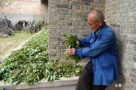 继父来家24年，两个女儿远嫁，母亲生病，她们由衷喊继父“爸爸”图片