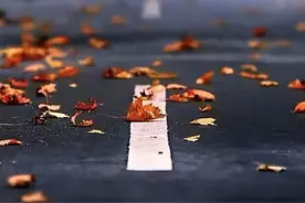 用文字去消遣生命的坠落，怕会脏了我的手图片