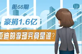 豪捐1.6亿，比亚迪的神秘女高管究竟是谁？图片