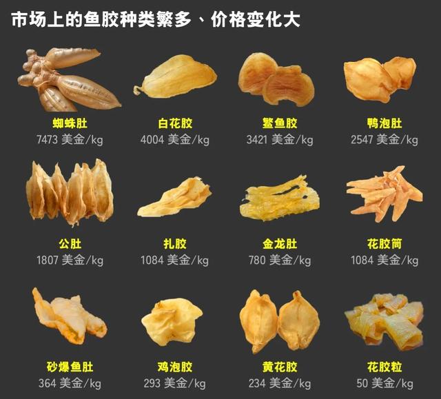 阴阳花胶香港多少钱一斤 花胶 阴阳胶