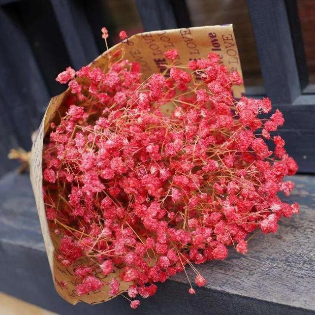 满天星花语配一句话,满天星花,7种满天星花语「全面解读」 - 冷求网