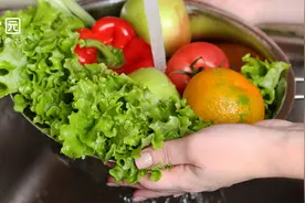 幼儿园食物中毒频发！厨房这种“苦菜”比砒霜还毒，家里也常买图片