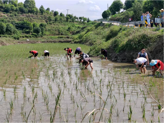 四川省民生研究会新媒体中心-官网